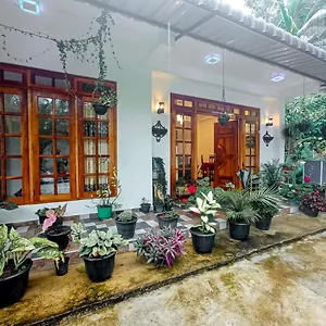  Homestay Daffodils